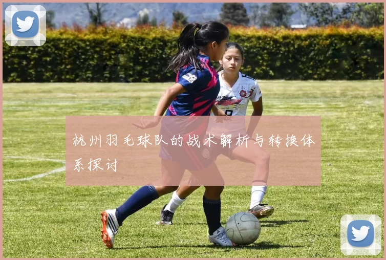 杭州羽毛球队的战术解析与转换体系探讨