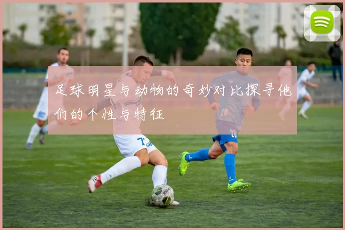 足球明星与动物的奇妙对比探寻他们的个性与特征