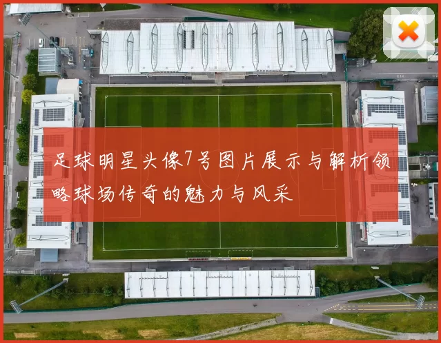 足球明星头像7号图片展示与解析领略球场传奇的魅力与风采
