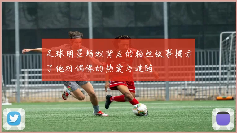 足球明星蚂蚁背后的粉丝故事揭示了他对偶像的热爱与追随