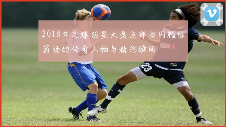 2018年足球明星大盘点那些闪耀绿茵场的传奇人物与精彩瞬间