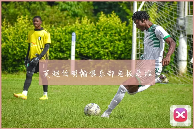 英超伯明翰俱乐部老板是谁