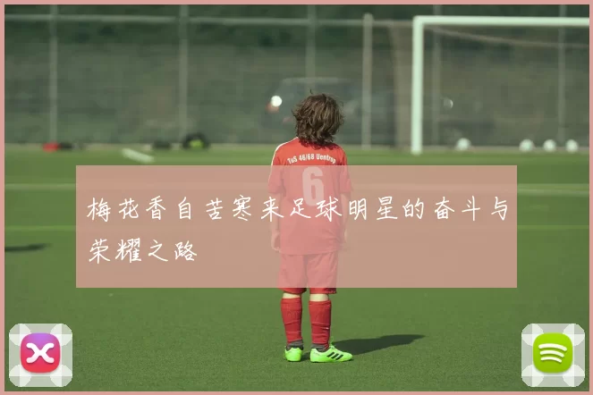 梅花香自苦寒来足球明星的奋斗与荣耀之路