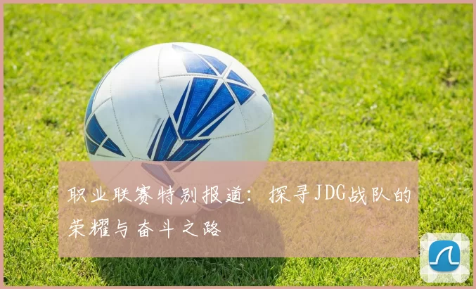 职业联赛特别报道：探寻JDG战队的荣耀与奋斗之路