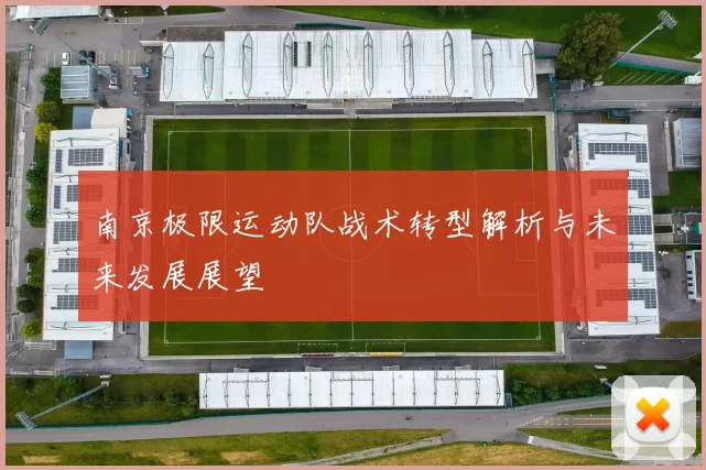 南京极限运动队战术转型解析与未来发展展望