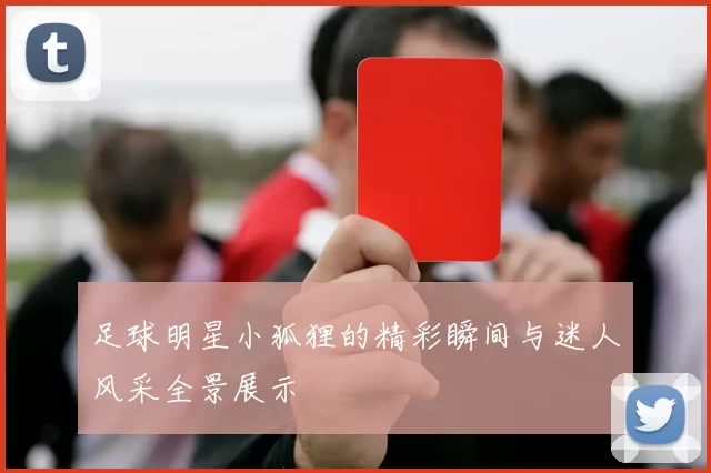 足球明星小狐狸的精彩瞬间与迷人风采全景展示