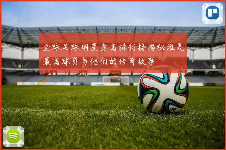 全球足球明星身高排行榜揭秘谁是最高球员与他们的传奇故事
