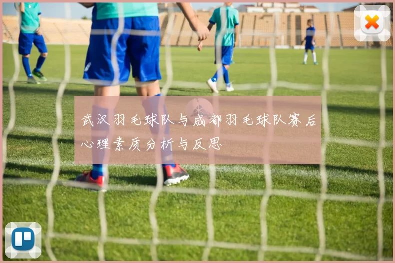 武汉羽毛球队与成都羽毛球队赛后心理素质分析与反思