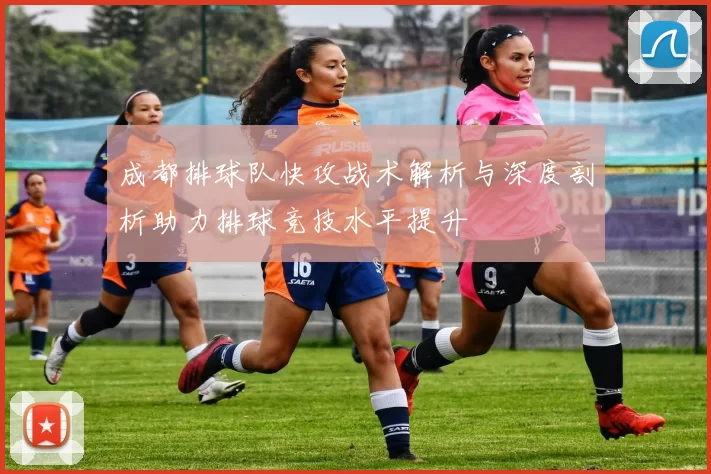 成都排球队快攻战术解析与深度剖析助力排球竞技水平提升