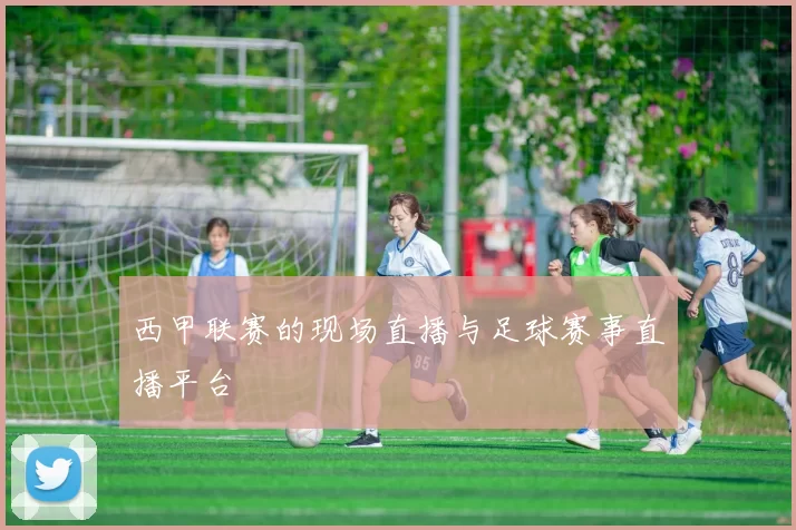 西甲联赛的现场直播与足球赛事直播平台