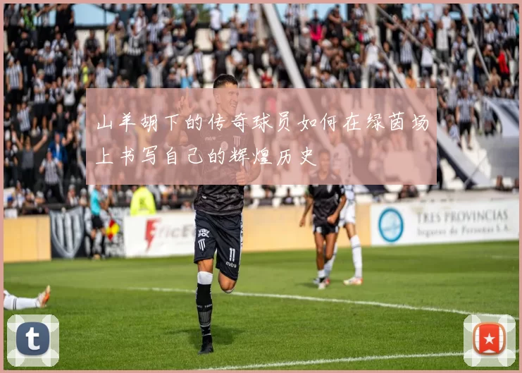 山羊胡下的传奇球员如何在绿茵场上书写自己的辉煌历史