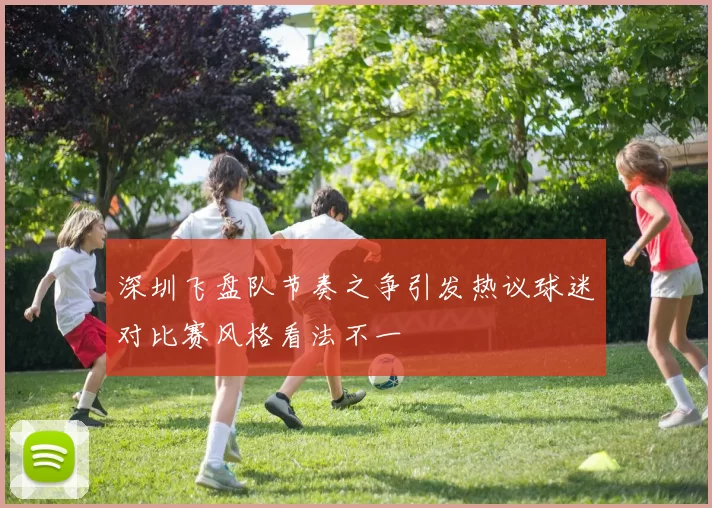 深圳飞盘队节奏之争引发热议球迷对比赛风格看法不一