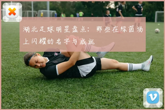 湖北足球明星盘点：那些在绿茵场上闪耀的名字与成就