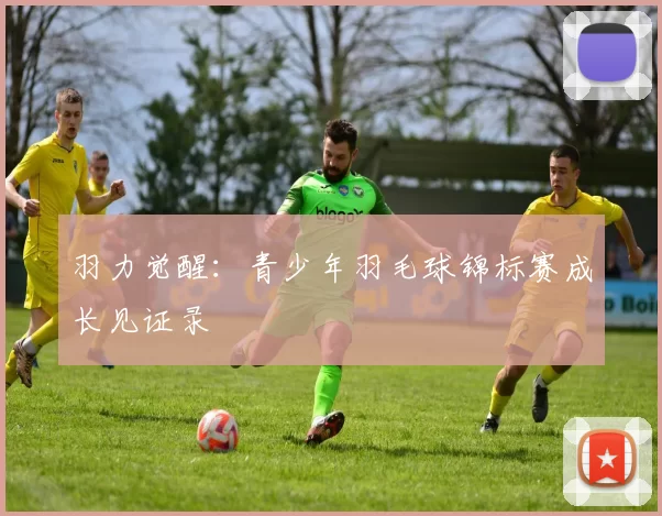 羽力觉醒：青少年羽毛球锦标赛成长见证录